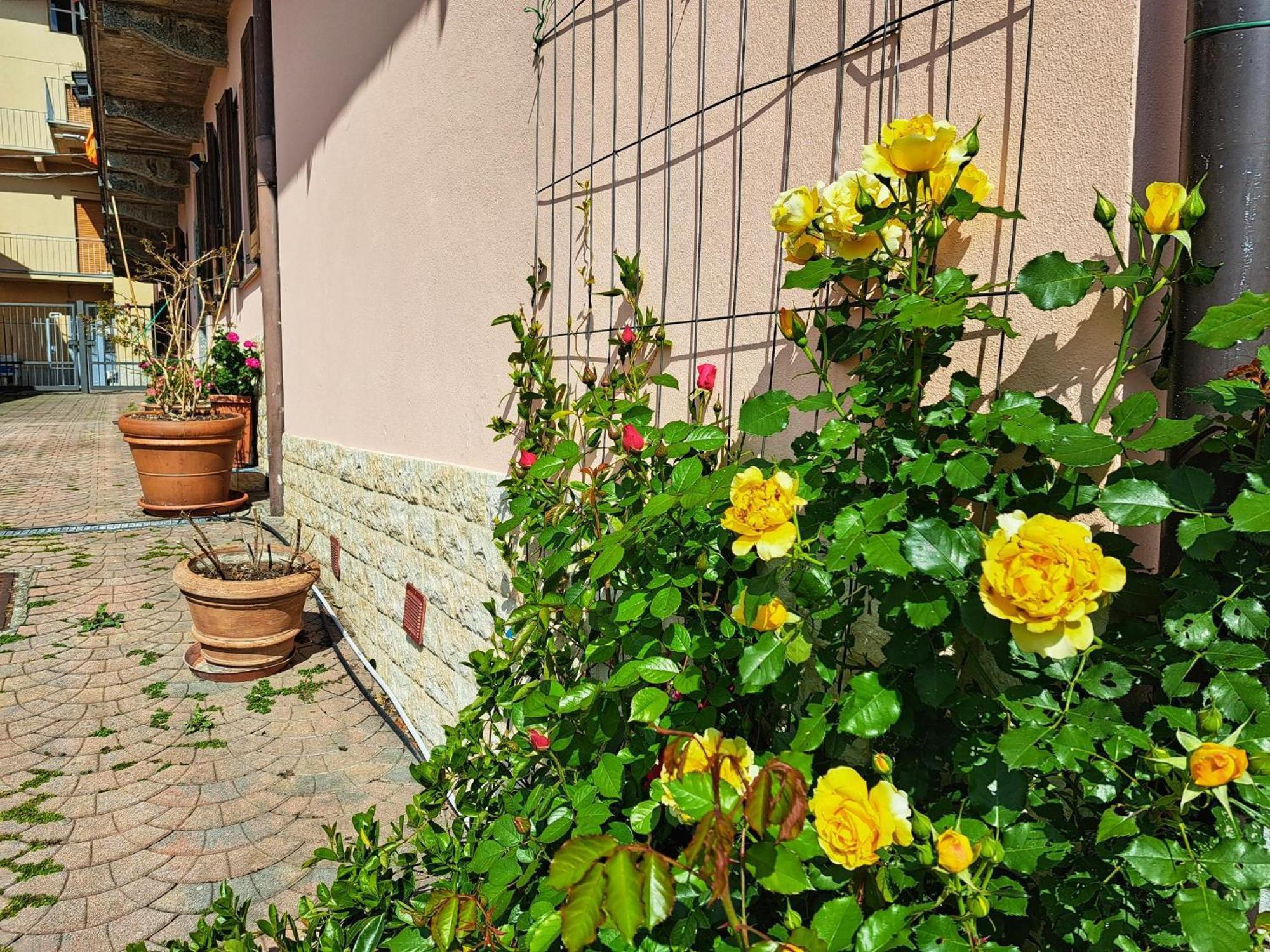 Le Rose Sul Lago Pescate Exterior photo